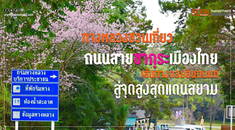 ทางหลวงชวนเที่ยวถนนสายซากุระเมืองไทย เส้นทางดอยอินทนนท์สู่จุดสูงสุดแดนสยาม ทางหลวงชวนเที่ยวถนนสายซากุระเมืองไทย เส้นทางดอยอินทนนท์สู่จุดสูงสุดแดนสยาม