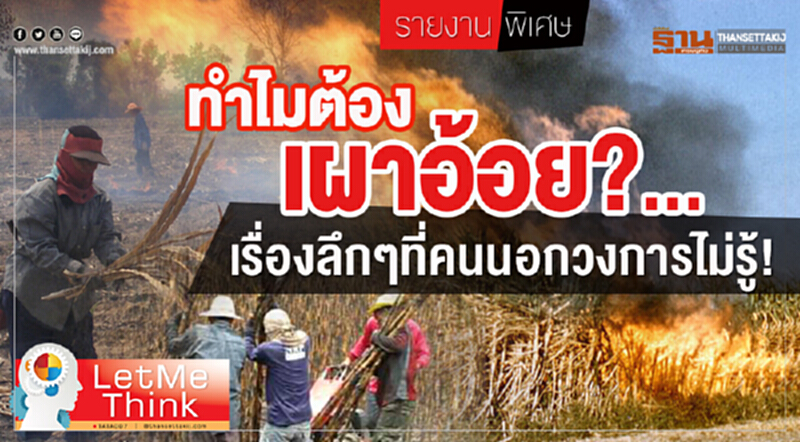 ทำไมต้องเผาอ้อย? ... เรื่องลึก ๆ ที่คนนอกวงการไม่รู้! ทำไมต้องเผาอ้อย? ... เรื่องลึก ๆ ที่คนนอกวงการไม่รู้!