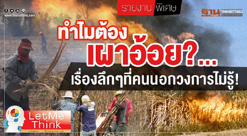 ทำไมต้องเผาอ้อย? ... เรื่องลึก ๆ ที่คนนอกวงการไม่รู้!