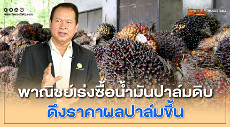 พาณิชย์เร่งซื้อ "น้ำมันปาล์มดิบ" ดึงราคาผลปาล์มขึ้น พาณิชย์เร่งซื้อ "น้ำมันปาล์มดิบ" ดึงราคาผลปาล์มขึ้น