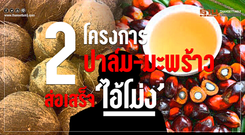 "2 โครงการ" แทรกแซง "ปาล์ม-มะพร้าว" ส่อเสร็จ "ไอ้โม่ง" "2 โครงการ" แทรกแซง "ปาล์ม-มะพร้าว" ส่อเสร็จ "ไอ้โม่ง"