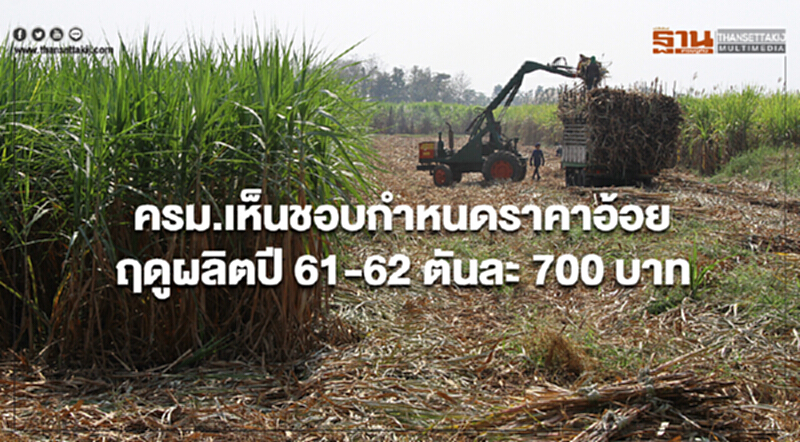 ครม.เห็นชอบกำหนดราคาอ้อยฤดูผลิตปี 61-62 ตันละ 700 บาท ครม.เห็นชอบกำหนดราคาอ้อยฤดูผลิตปี 61-62 ตันละ 700 บาท