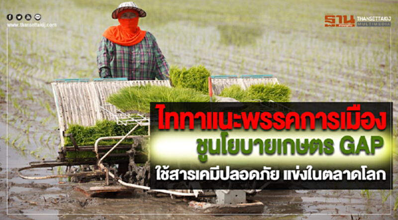 ไททาแนะพรรคการเมืองชูนโยบายเกษตรGAPใช้สารเคมีปลอดภัยแข่งในตลาดโลก ไททาแนะพรรคการเมืองชูนโยบายเกษตรGAPใช้สารเคมีปลอดภัยแข่งในตลาดโลก