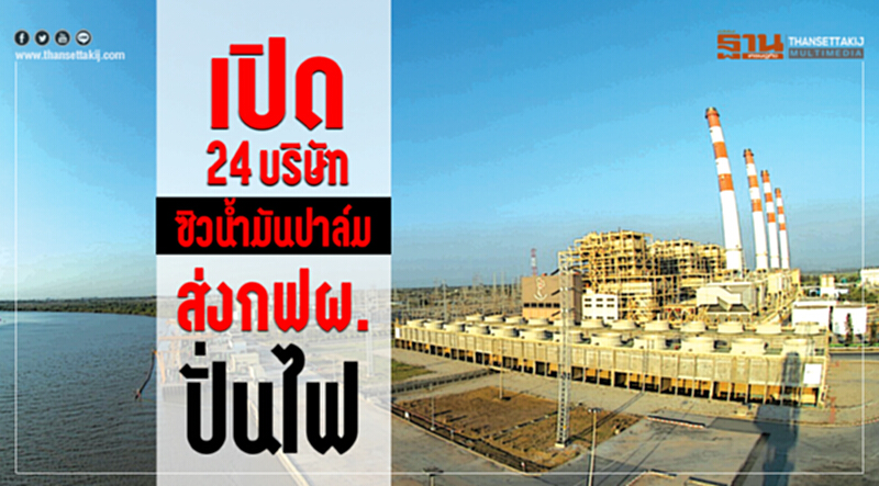 เปิด 24 บริษัทซิวนํ้ามันปาล์มส่งกฟผ.ปั่นไฟ เปิด 24 บริษัทซิวนํ้ามันปาล์มส่งกฟผ.ปั่นไฟ