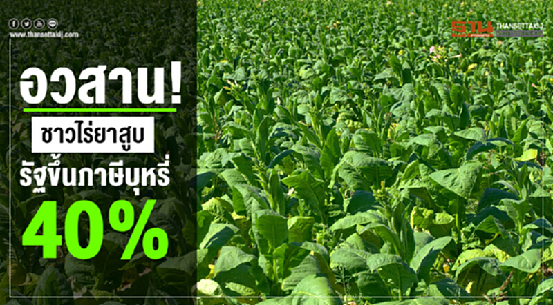 อวสาน! "ชาวไร่ยาสูบ" รัฐขึ้นภาษีบุหรี่ 40% อวสาน! "ชาวไร่ยาสูบ" รัฐขึ้นภาษีบุหรี่ 40%