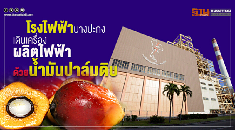 โรงไฟฟ้าบางปะกง เดินเครื่องผลิตไฟฟ้าด้วยน้ำมันปาล์มดิบ โรงไฟฟ้าบางปะกง เดินเครื่องผลิตไฟฟ้าด้วยน้ำมันปาล์มดิบ