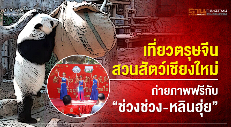 เที่ยวตรุษจีน "สวนสัตว์เชียงใหม่" ถ่ายภาพฟรีกับ "ช่วงช่วง-หลินฮุ่ย"
