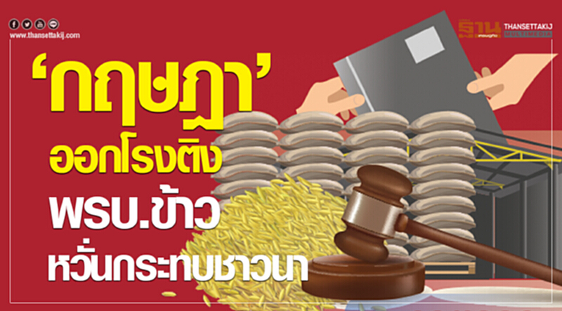 'กฤษฎา' ออกโรงติง "พ.ร.บ.ข้าว" หวั่นกระทบชาวนา - นายทุนยึดเมล็ดพันธุ์ 1.5 หมื่นล้าน 'กฤษฎา' ออกโรงติง "พ.ร.บ.ข้าว" หวั่นกระทบชาวนา - นายทุนยึดเมล็ดพันธุ์ 1.5 หมื่นล้าน