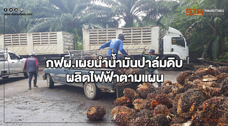 กฟผ.เผยนำน้ำมันปาล์มดิบผลิตไฟฟ้าตามแผน มีผู้ยื่นเสนอขาย 32 ราย กฟผ.เผยนำน้ำมันปาล์มดิบผลิตไฟฟ้าตามแผน มีผู้ยื่นเสนอขาย 32 ราย