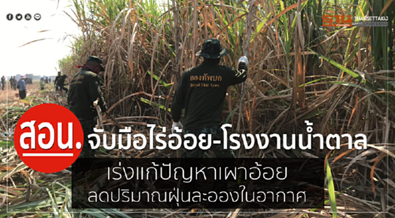 สอน. จับมือ "ไร่อ้อย-โรงงานน้ำตาล" เร่งแก้ปัญหาเผาอ้อย ลดปริมาณฝุ่นละอองในอากาศ สอน. จับมือ "ไร่อ้อย-โรงงานน้ำตาล" เร่งแก้ปัญหาเผาอ้อย ลดปริมาณฝุ่นละอองในอากาศ