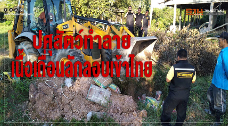 เร่งฝังทำลายทันที! ผวา "โรคระบาด" เข้าไทย เร่งฝังทำลายทันที! ผวา "โรคระบาด" เข้าไทย
