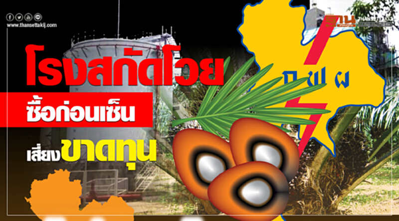 โรงสกัดโวย! ซื้อ "ปาล์มน้ำมัน" ก่อนเซ็นสัญญา เสี่ยงขาดทุน โรงสกัดโวย! ซื้อ "ปาล์มน้ำมัน" ก่อนเซ็นสัญญา เสี่ยงขาดทุน