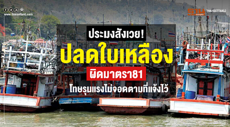 ผงะ! จอด "เรือประมง" ผิดที่ โดนปรับเป็นแสน ผงะ! จอด "เรือประมง" ผิดที่ โดนปรับเป็นแสน