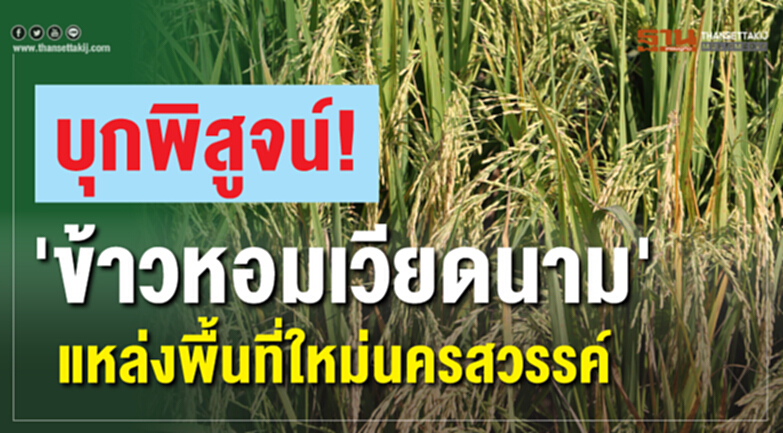 ฟัง! แล้วอึ้ง! ทำไมชาวนาไทยปลูก "ข้าวหอมเวียดนาม" ฟัง! แล้วอึ้ง! ทำไมชาวนาไทยปลูก "ข้าวหอมเวียดนาม"
