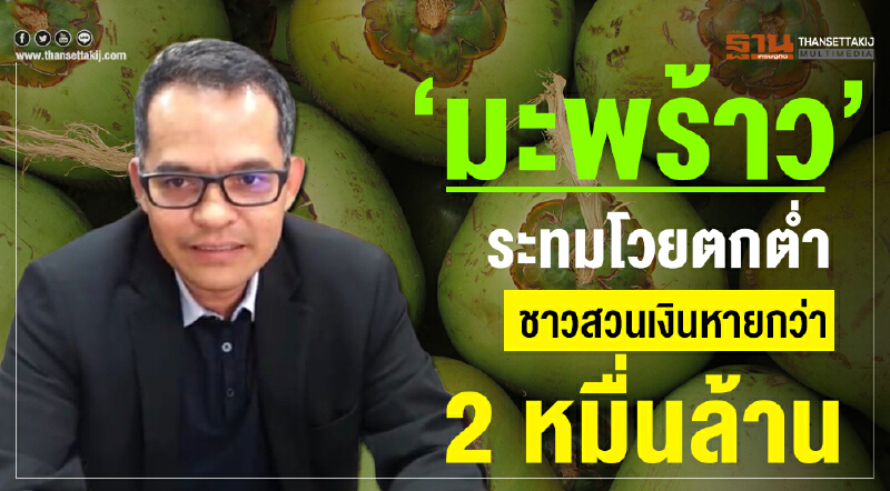 โวย"มะพร้าว"ราคาตก!ชาวสวนเงินหาย2หมื่นล้าน