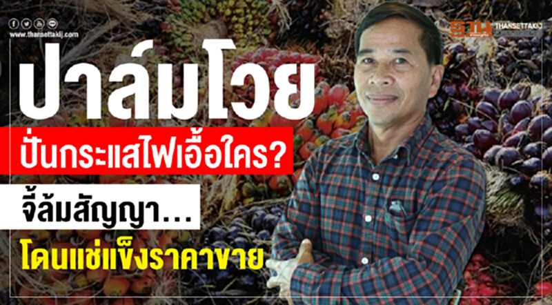 จี้ล้มสัญญาปาล์มปั่นไฟฯโดนแช่แข็งราคาขาย จี้ล้มสัญญาปาล์มปั่นไฟฯโดนแช่แข็งราคาขาย