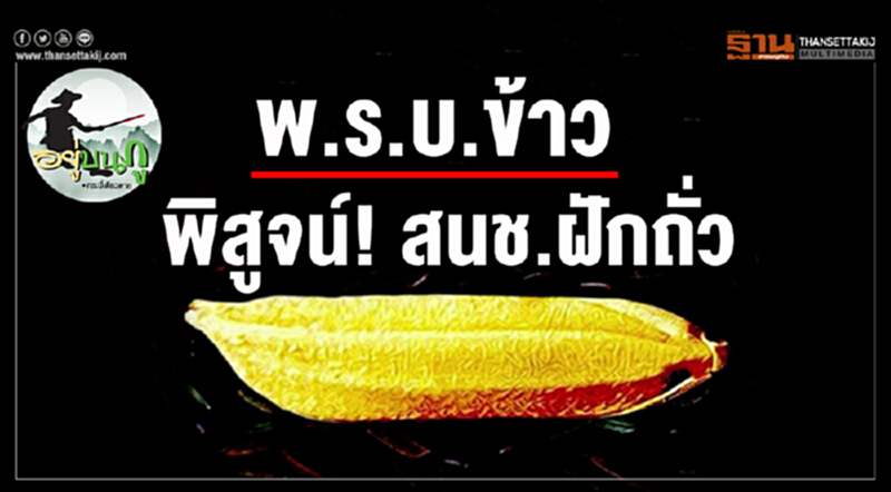 อยู่บนภู : พ.ร.บ.ข้าว พิสูจน์! สนช.ฝักถั่ว อยู่บนภู : พ.ร.บ.ข้าว พิสูจน์! สนช.ฝักถั่ว