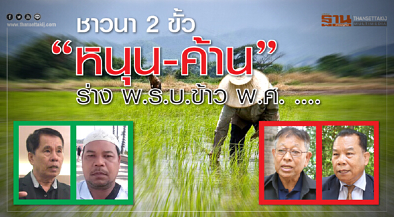 18 ก.พ. กองทัพชาวนานับร้อยหนุนร่างกฎหมายข้าว 18 ก.พ. กองทัพชาวนานับร้อยหนุนร่างกฎหมายข้าว