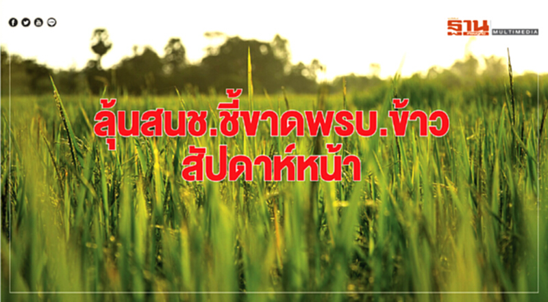 ลุ้นสนช.ชี้ขาดพ.ร.บ.ข้าว ผ่าน-ถูกคว่ำกลางสภา ลุ้นสนช.ชี้ขาดพ.ร.บ.ข้าว ผ่าน-ถูกคว่ำกลางสภา