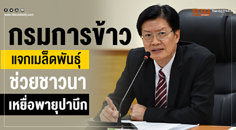 แจกเมล็ดพันธุ์ช่วยชาวนาเหยื่อพายุปาบึก แจกเมล็ดพันธุ์ช่วยชาวนาเหยื่อพายุปาบึก