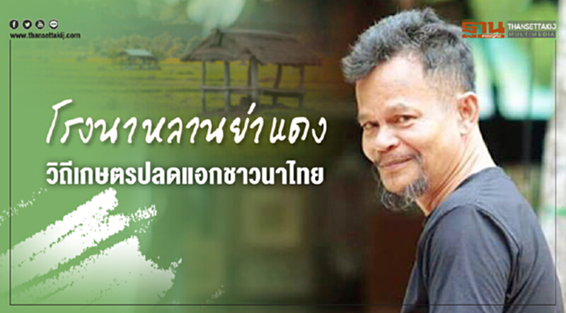 โรงนาหลานย่าแดง วิถีเกษตรปลดแอกชาวนาไทย โรงนาหลานย่าแดง วิถีเกษตรปลดแอกชาวนาไทย