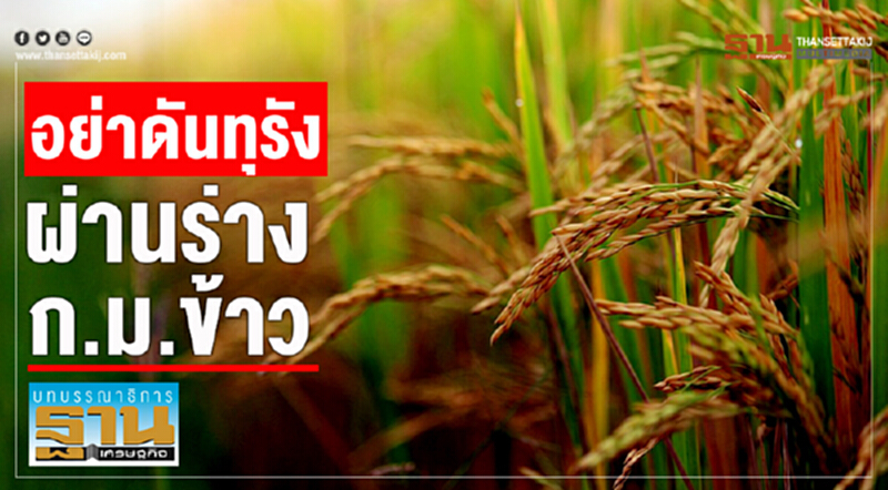อย่าดันทุรัง ผ่านร่างก.ม.ข้าว อย่าดันทุรัง ผ่านร่างก.ม.ข้าว