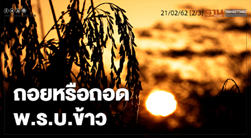 ชั่วโมงฐานเศรษฐกิจ 21/02/62 : ถอยหรือถอด พ.ร.บ.ข้าว ชั่วโมงฐานเศรษฐกิจ 21/02/62 : ถอยหรือถอด พ.ร.บ.ข้าว