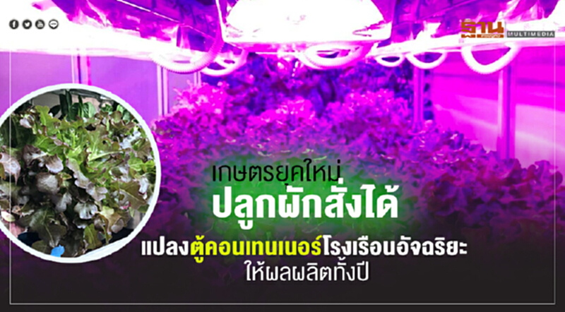 เกษตรยุคใหม่ปลูกผักสั่งได้ แปลงตู้คอนเทนเนอร์โรงเรือนอัจฉริยะ ให้ผลผลิตทั้งปี เกษตรยุคใหม่ปลูกผักสั่งได้ แปลงตู้คอนเทนเนอร์โรงเรือนอัจฉริยะ ให้ผลผลิตทั้งปี