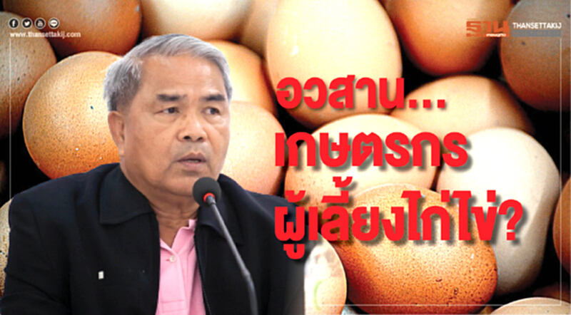 จับตา!ผู้เลี้ยงเคาะวันประชุมใหญ่แก้ราคาไข่ไก่ตก จับตา!ผู้เลี้ยงเคาะวันประชุมใหญ่แก้ราคาไข่ไก่ตก