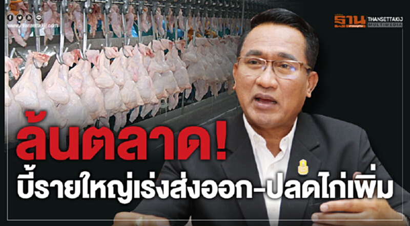 บี้รายใหญ่! เร่งส่งออก-ปลดไก่เพิ่ม บี้รายใหญ่! เร่งส่งออก-ปลดไก่เพิ่ม