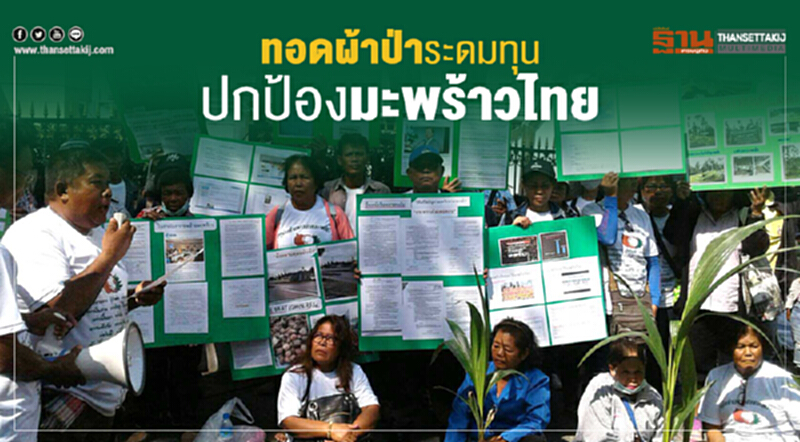 17 มี.ค. นัดทอดผ้าป่าระดมทุนปกป้อง "มะพร้าวไทย" 17 มี.ค. นัดทอดผ้าป่าระดมทุนปกป้อง "มะพร้าวไทย"