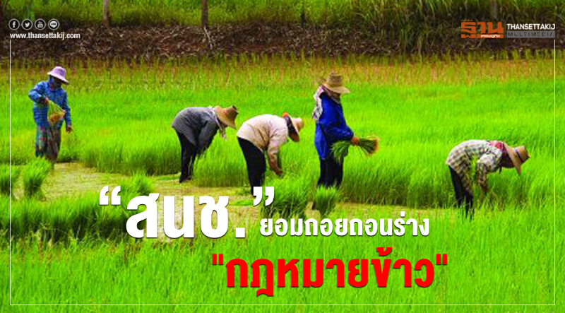 ปิดฉาก!! "กฎหมายข้าว" ฉบับ สนช.