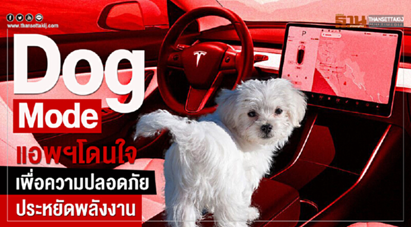 "Dog Mode" แอพโดนใจ เพื่อความปลอดภัย-ประหยัดพลังงาน "Dog Mode" แอพโดนใจ เพื่อความปลอดภัย-ประหยัดพลังงาน