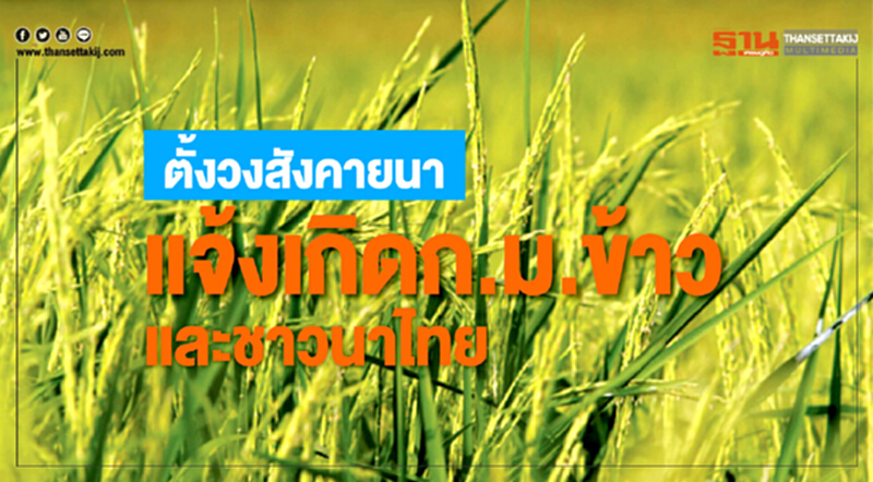 ตั้งวงสังคายนา แจ้งเกิดก.ม.ข้าว และชาวนาไทย ตั้งวงสังคายนา แจ้งเกิดก.ม.ข้าว และชาวนาไทย