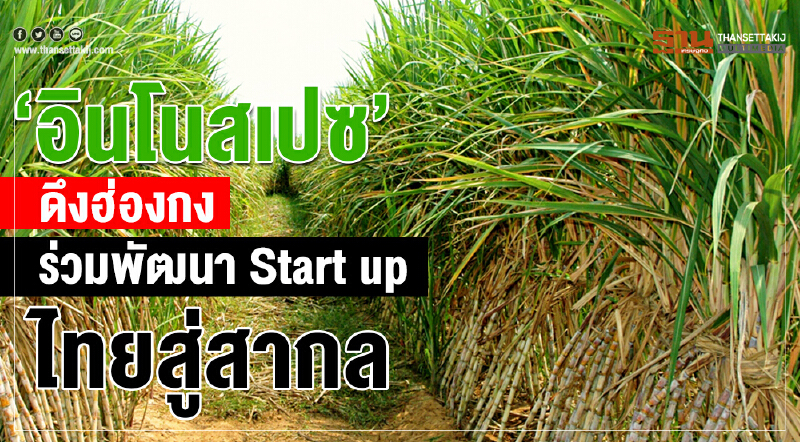 "อินโนสเปซ" ดึง 'ฮ่องกง' ร่วมพัฒนา Start up ไทยสู่สากล