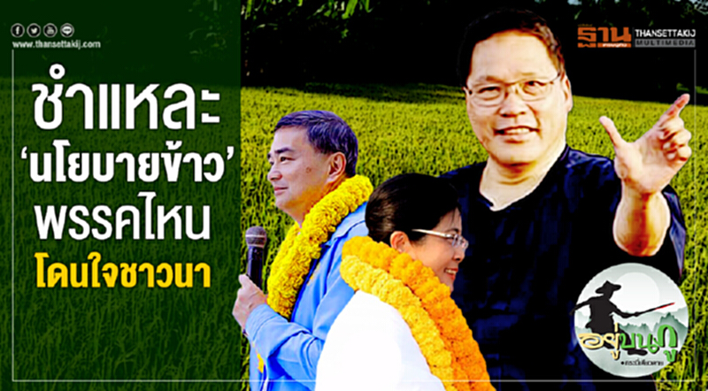 อยู่บนภู : ชำแหละ ‘นโยบายข้าว’ พรรคไหนโดนใจชาวนา อยู่บนภู : ชำแหละ ‘นโยบายข้าว’ พรรคไหนโดนใจชาวนา