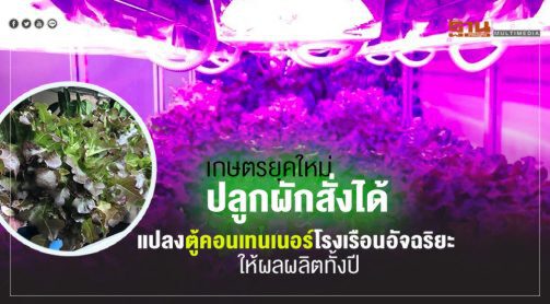 เกษตรยุคใหม่ปลูกผักสั่งได้  แปลงตู้คอนเทนเนอร์โรงเรือนอัจฉริยะ ให้ผลผลิตทั้งปี