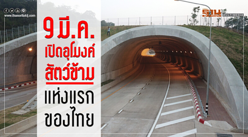 เปิดอุโมงค์สัตว์ข้ามแห่งแรกของไทย เปิดอุโมงค์สัตว์ข้ามแห่งแรกของไทย