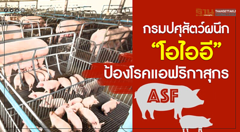 กรมปศุสัตว์ผนึก“โอไออี”ป้องโรคแอฟริกาสุกร กรมปศุสัตว์ผนึก“โอไออี”ป้องโรคแอฟริกาสุกร