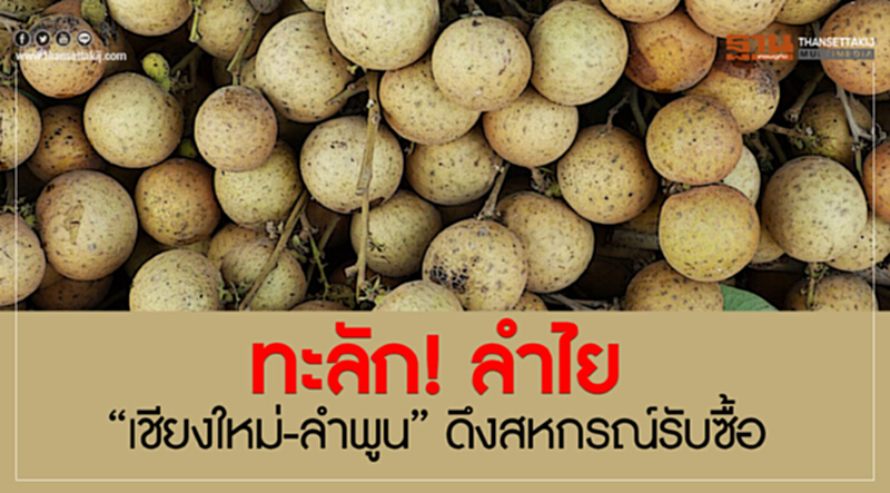 ทะลัก! ลำไย “เชียงใหม่-ลำพูน”ดึงสหกรณ์รับซื้อ ทะลัก! ลำไย “เชียงใหม่-ลำพูน”ดึงสหกรณ์รับซื้อ