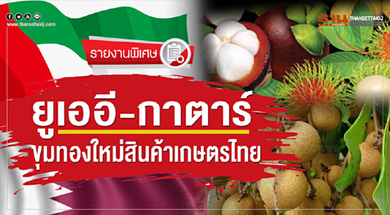 "ยูเออี-กาตาร์" ขุมทองใหม่ "สินค้าเกษตรไทย" "ยูเออี-กาตาร์" ขุมทองใหม่ "สินค้าเกษตรไทย"