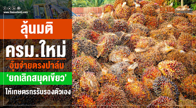 "ล่า" ชาวสวนเข้าร่วมโครงการปาล์มปั่นกระแสไฟฟ้า "ล่า" ชาวสวนเข้าร่วมโครงการปาล์มปั่นกระแสไฟฟ้า