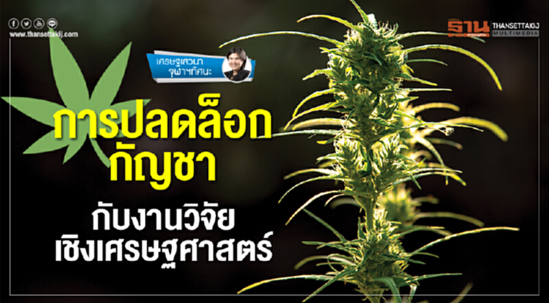 การปลดล็อกกัญชา กับงานวิจัยเชิงเศรษฐศาสตร์ การปลดล็อกกัญชา กับงานวิจัยเชิงเศรษฐศาสตร์