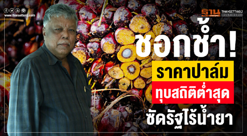 กฟผ. ผูกมัด 14 บริษัท ขายน้ำมันปาล์มดิบปั่นไฟ 8 มี.ค. นี้ กฟผ. ผูกมัด 14 บริษัท ขายน้ำมันปาล์มดิบปั่นไฟ 8 มี.ค. นี้