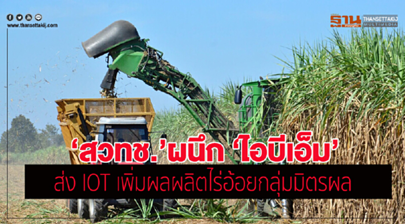 สวทช. ร่วมมือ 'ไอบีเอ็ม' ส่ง IOT เพิ่มผลผลิตไร่อ้อยกลุ่มมิตรผล สวทช. ร่วมมือ 'ไอบีเอ็ม' ส่ง IOT เพิ่มผลผลิตไร่อ้อยกลุ่มมิตรผล