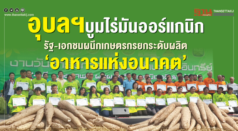 อุบลฯบูมไร่มันออร์แกนิก อุบลฯบูมไร่มันออร์แกนิก