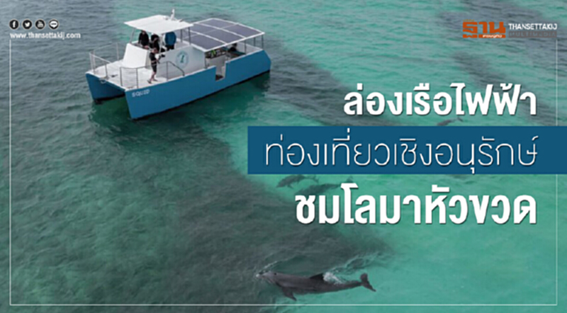 ล่องเรือไฟฟ้า ท่องเที่ยวเชิงอนุรักษ์ชมโลมาหัวขวด ล่องเรือไฟฟ้า ท่องเที่ยวเชิงอนุรักษ์ชมโลมาหัวขวด