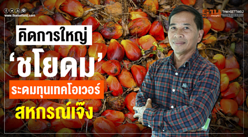 หักเหลี่ยม "พ่อค้า" จ่อปาดหน้าซื้อปาล์ม 4 บาท หักเหลี่ยม "พ่อค้า" จ่อปาดหน้าซื้อปาล์ม 4 บาท