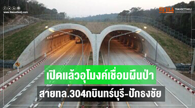 เปิดแล้วอุโมงค์เชื่อมผืนป่า สายทล.304กบินทร์บุรี-ปักธงชัย เปิดแล้วอุโมงค์เชื่อมผืนป่า สายทล.304กบินทร์บุรี-ปักธงชัย