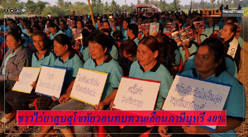 ชาวไร่ยาสูบสุโขทัยวอนทบทวนเลื่อนภาษีบุหรี่ 40% ก่อนเลือกตั้ง ชาวไร่ยาสูบสุโขทัยวอนทบทวนเลื่อนภาษีบุหรี่ 40% ก่อนเลือกตั้ง